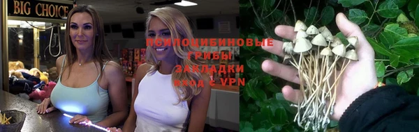МДМА Горнозаводск