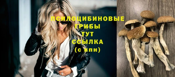 MDMA Горняк