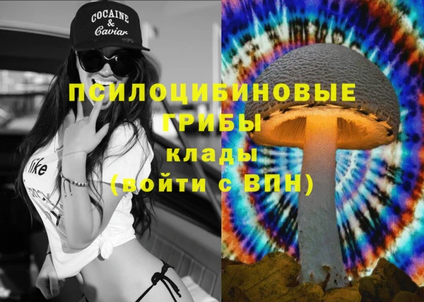меф Горно-Алтайск